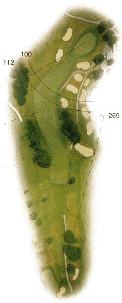 11th hole overview